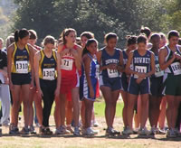 04subd205pennington1307brown71frailing211_jpg.jpg